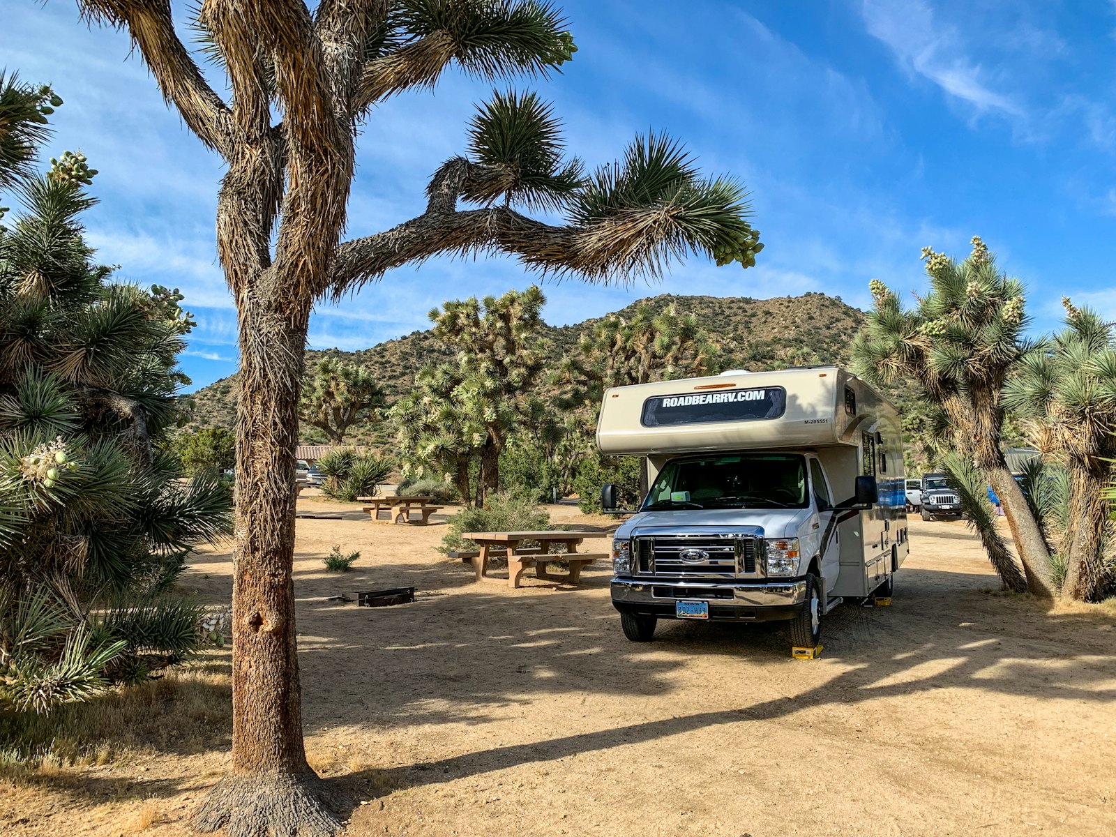 Wohnmobil zwischen Joshua Trees